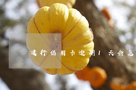 建行信用卡逾期1天会怎么样 建行信用卡逾期1天会怎么样