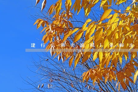 建行信用卡逾期1年解冻成功
