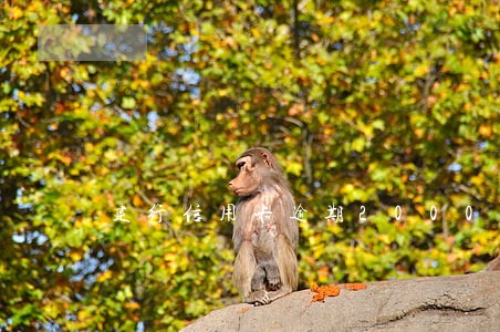 建行信用卡逾期2000半个月