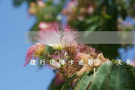 建行信用卡逾期20天影响大不大 建行信用卡逾期20天影响大不大