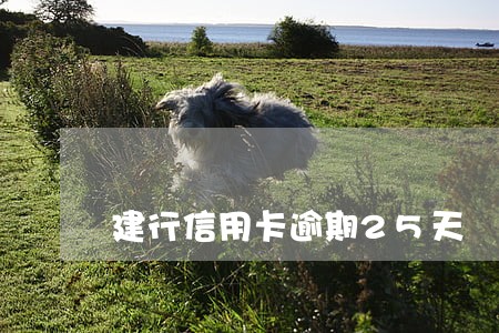建行信用卡逾期25天