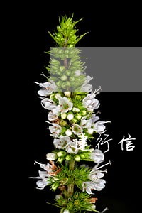 建行信用卡逾期2天手续费 建行信用卡逾期2天手续费
