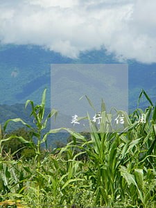 建行信用卡逾期2小时 建行信用卡逾期2小时