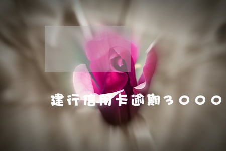 建行信用卡逾期3000 建行信用卡逾期3000