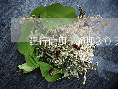 建行信用卡逾期30天有什么后果