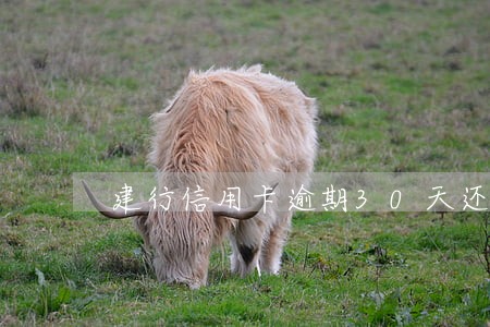建行信用卡逾期30天还款 建行信用卡逾期30天还款