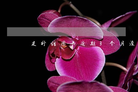 建行信用卡逾期3个月没还 建行信用卡逾期3个月没还