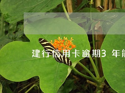 建行信用卡逾期3年能协商减免吗