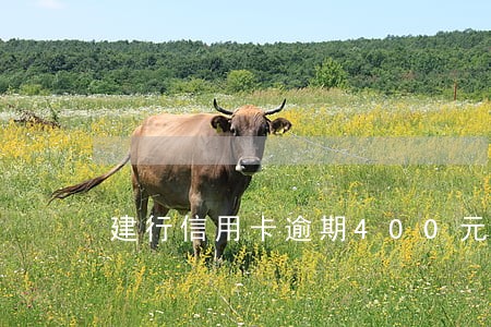 建行信用卡逾期400元怎么办