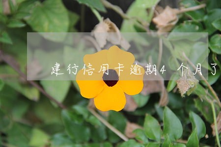 建行信用卡逾期4个月了怎么办 建行信用卡逾期4个月了怎么办
