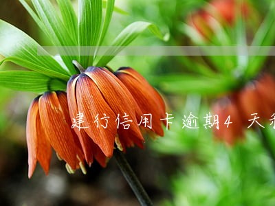 建行信用卡逾期4天利息怎么算 建行信用卡逾期4天利息怎么算