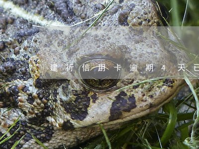 建行信用卡逾期4天已经还上了 建行信用卡逾期4天已经还上了