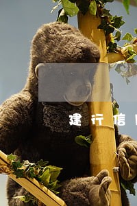 建行信用卡逾期4年