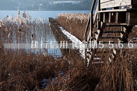 建行信用卡逾期5566元