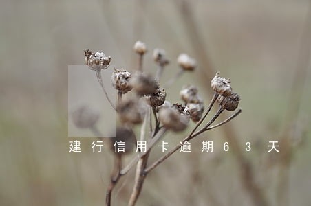 建行信用卡逾期63天