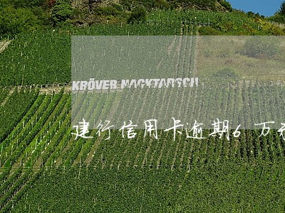 建行信用卡逾期6万未还款 建行信用卡逾期6万未还款