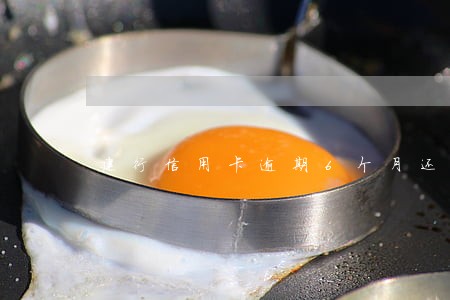建行信用卡逾期6个月还能分期吗