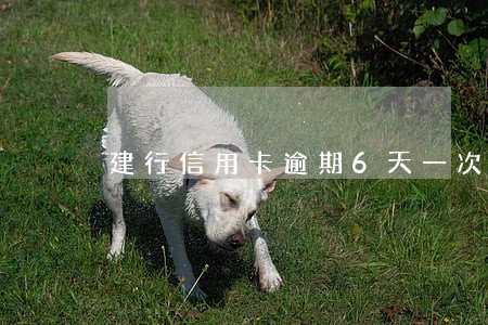 建行信用卡逾期6天一次 建行信用卡逾期6天一次