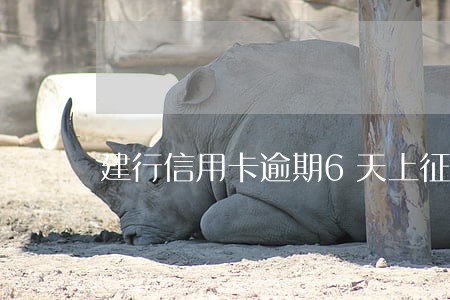 建行信用卡逾期6天上征信吗 建行信用卡逾期6天上征信吗