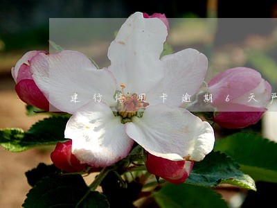 建行信用卡逾期6天严重吗 建行信用卡逾期6天严重吗