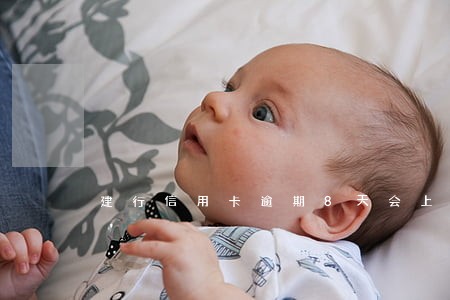 建行信用卡逾期8天会上征信吗 建行信用卡逾期8天会上征信吗
