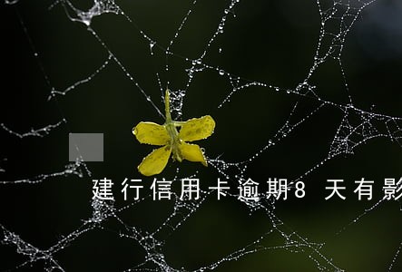 建行信用卡逾期8天有影响么 建行信用卡逾期8天有影响么