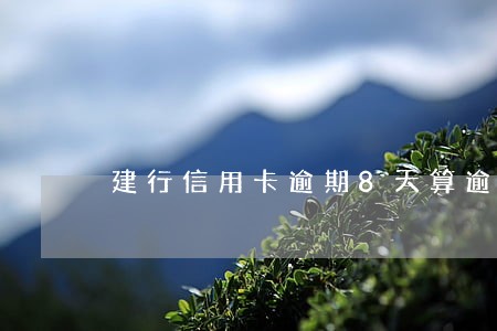 建行信用卡逾期8天算逾期