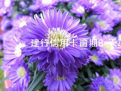 建行信用卡逾期8天还款影响 建行信用卡逾期8天还款影响