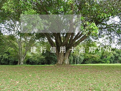 建行信用卡逾期90 建行信用卡逾期90