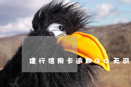 建行信用卡逾期90天可以恢复吗