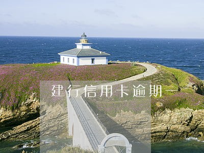 建行信用卡逾期一 建行信用卡逾期一