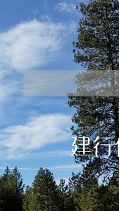 建行信用卡逾期一万 建行信用卡逾期一万