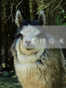 建行信用卡逾期一万五八个月 建行信用卡逾期一万五八个月
