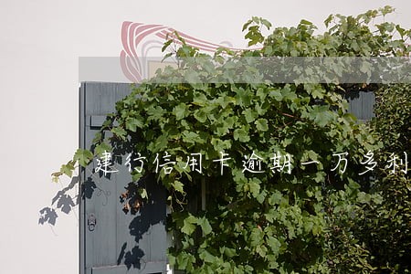 建行信用卡逾期一万多利息