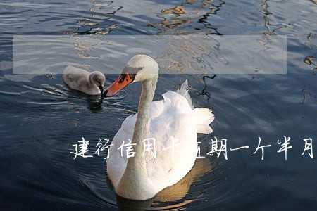 建行信用卡逾期一个半月 建行信用卡逾期一个半月
