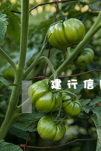 建行信用卡逾期一个月后 建行信用卡逾期一个月后