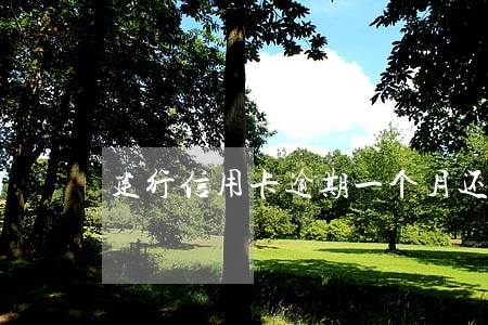 建行信用卡逾期一个月还能用吗