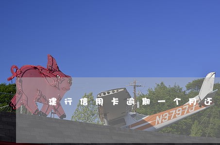 建行信用卡逾期一个月还能账单吗 建行信用卡逾期一个月还能账单吗