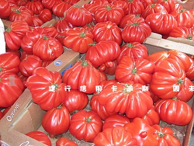 建行信用卡逾期一周未还