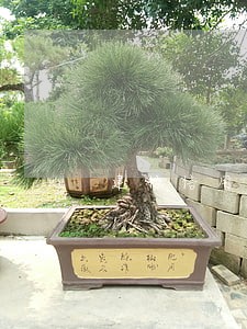 建行信用卡逾期一天上征信了 建行信用卡逾期一天上征信了