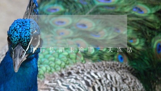 建行信用卡逾期一天冻结 建行信用卡逾期一天冻结