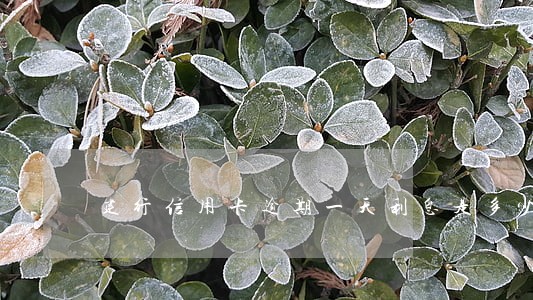 建行信用卡逾期一天利息是多少 建行信用卡逾期一天利息是多少