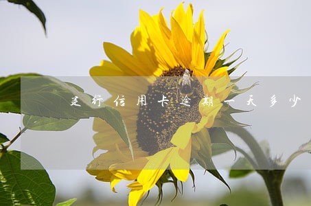 建行信用卡逾期一天多少钱 建行信用卡逾期一天多少钱