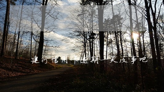 建行信用卡逾期一天没事吧 建行信用卡逾期一天没事吧