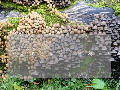 建行信用卡逾期一天算一年吗 建行信用卡逾期一天算一年吗