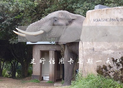 建行信用卡逾期一天算逾期