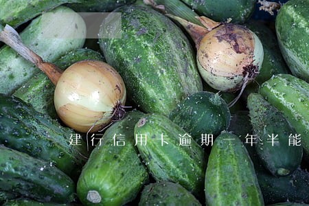 建行信用卡逾期一年半能用吗 建行信用卡逾期一年半能用吗