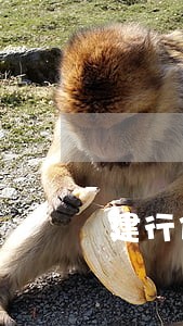 建行信用卡逾期一年多了