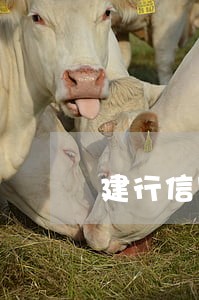 建行信用卡逾期一年如何还款 建行信用卡逾期一年如何还款