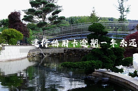 建行信用卡逾期一年未还款 建行信用卡逾期一年未还款